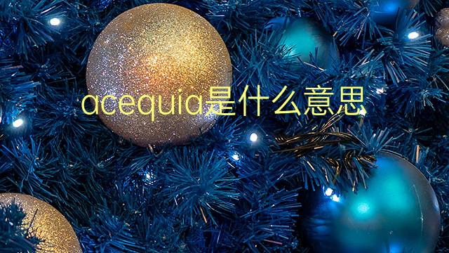 acequia是什么意思 acequia的翻译、读音、例句、中文解释