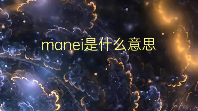 manei是什么意思 manei的翻译、读音、例句、中文解释