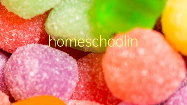 homeschooling是什么意思 homeschooling的翻译、读音、例句、中文解释