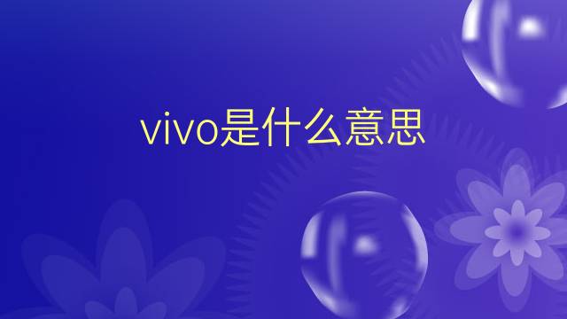 vivo是什么意思 vivo的翻译、读音、例句、中文解释