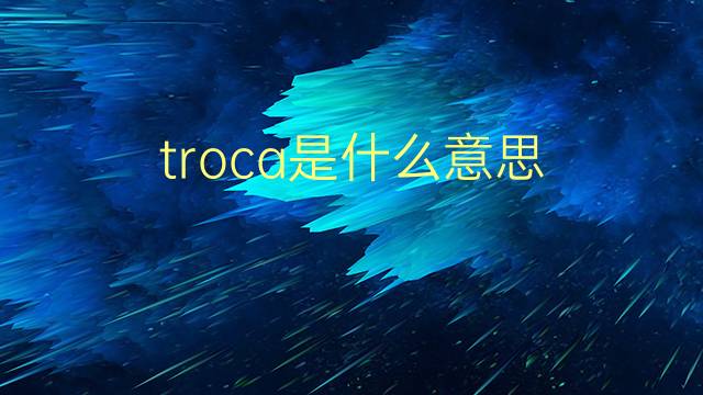 troca是什么意思 troca的翻译、读音、例句、中文解释