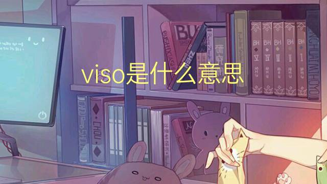 viso是什么意思 viso的翻译、读音、例句、中文解释