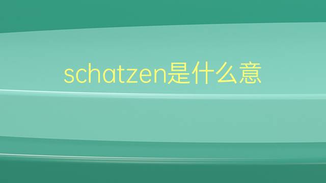 schatzen是什么意思 schatzen的翻译、读音、例句、中文解释