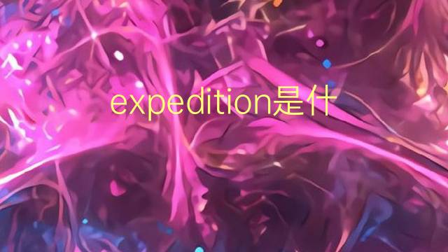 expedition是什么意思 expedition的翻译、读音、例句、中文解释