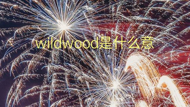 wildwood是什么意思 wildwood的翻译、读音、例句、中文解释