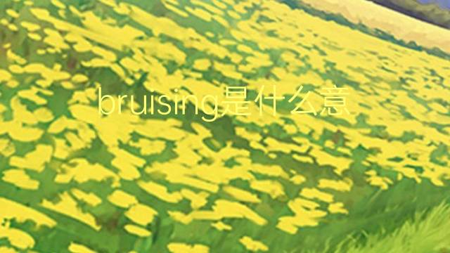 bruising是什么意思 bruising的翻译、读音、例句、中文解释