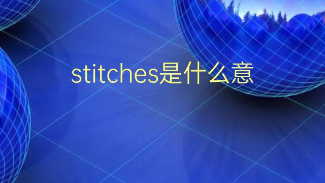 stitches是什么意思 stitches的翻译、读音、例句、中文解释