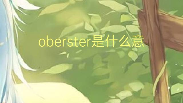 oberster是什么意思 oberster的翻译、读音、例句、中文解释