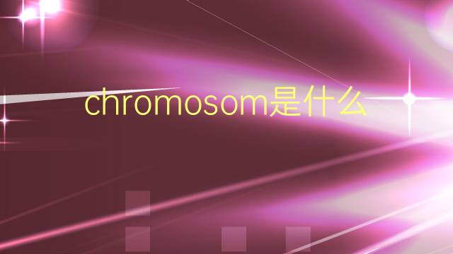 chromosom是什么意思 chromosom的翻译、读音、例句、中文解释