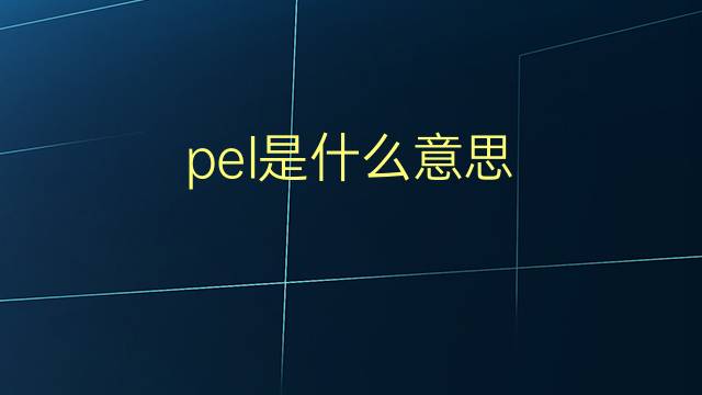 pel是什么意思 pel的翻译、读音、例句、中文解释