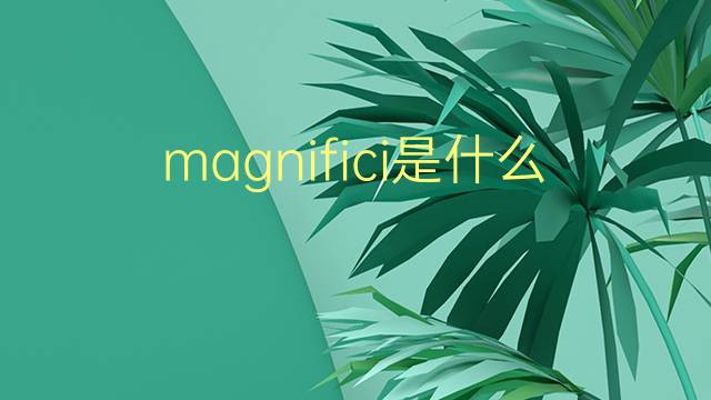 magnifici是什么意思 magnifici的翻译、读音、例句、中文解释