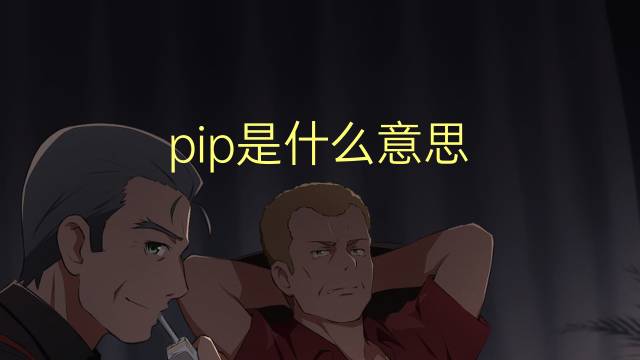 pip是什么意思 pip的翻译、读音、例句、中文解释