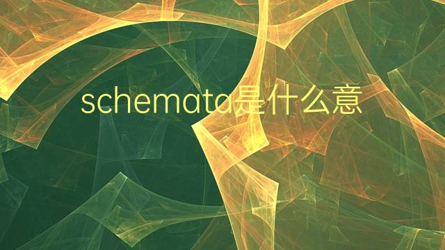 schemata是什么意思 schemata的翻译、读音、例句、中文解释