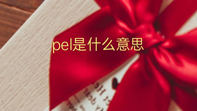 pel是什么意思 pel的翻译、读音、例句、中文解释