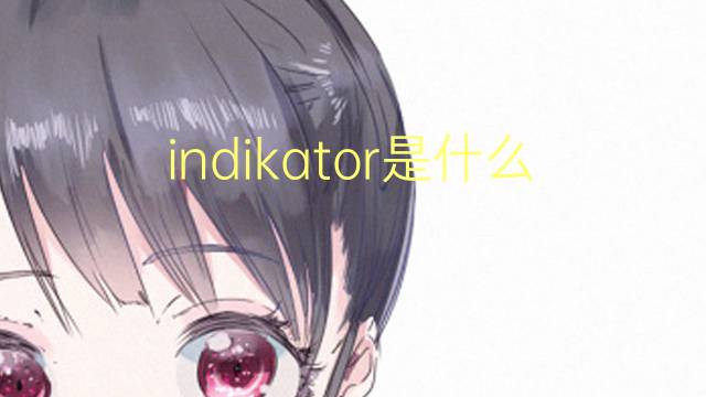 indikator是什么意思 indikator的翻译、读音、例句、中文解释