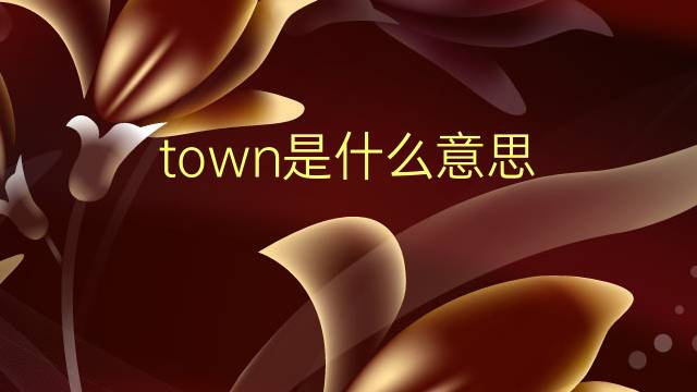 town是什么意思 town的翻译、读音、例句、中文解释