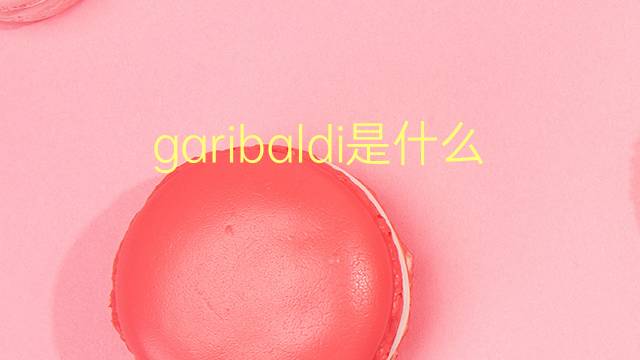 garibaldi是什么意思 garibaldi的翻译、读音、例句、中文解释