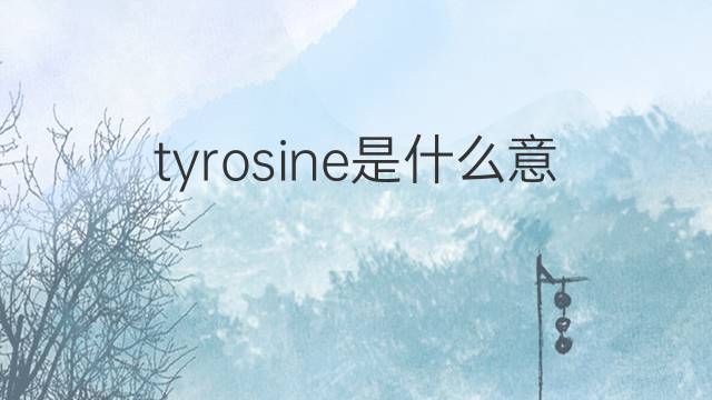 tyrosine是什么意思 tyrosine的翻译、读音、例句、中文解释