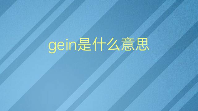 gein是什么意思 gein的翻译、读音、例句、中文解释