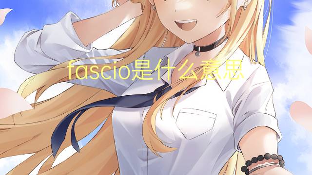 fascio是什么意思 fascio的翻译、读音、例句、中文解释