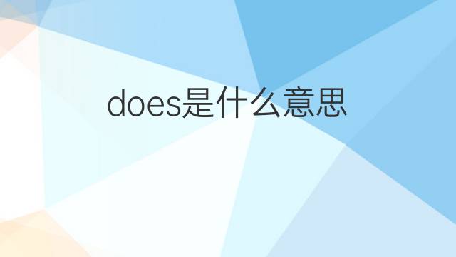 does是什么意思 does的翻译、读音、例句、中文解释