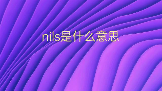 nils是什么意思 nils的翻译、读音、例句、中文解释