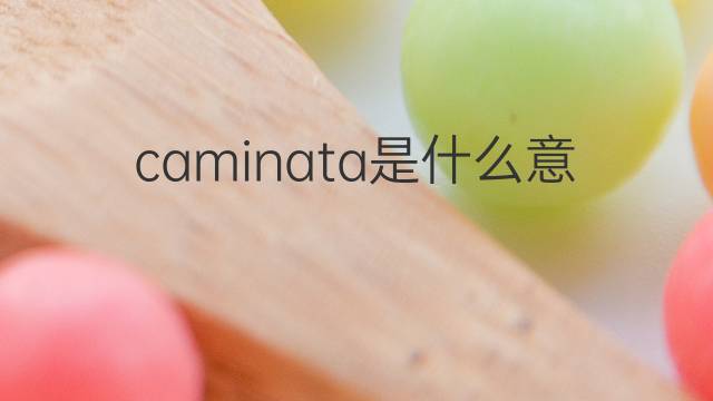 caminata是什么意思 caminata的翻译、读音、例句、中文解释