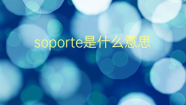 soporte是什么意思 soporte的翻译、读音、例句、中文解释