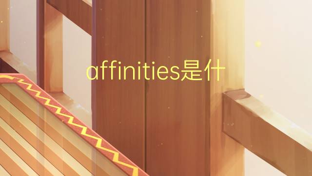 affinities是什么意思 affinities的翻译、读音、例句、中文解释