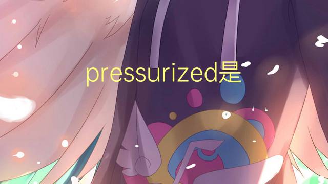 pressurized是什么意思 pressurized的翻译、读音、例句、中文解释