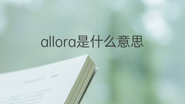 allora是什么意思 allora的翻译、读音、例句、中文解释