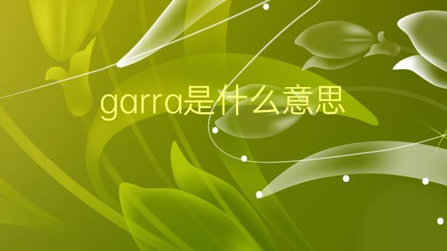 garra是什么意思 garra的翻译、读音、例句、中文解释