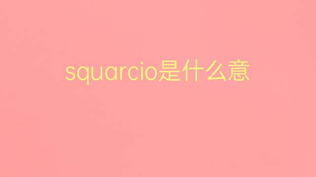 squarcio是什么意思 squarcio的翻译、读音、例句、中文解释