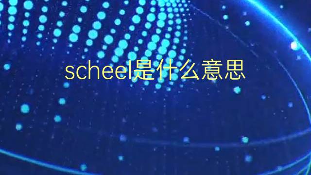 scheel是什么意思 scheel的翻译、读音、例句、中文解释