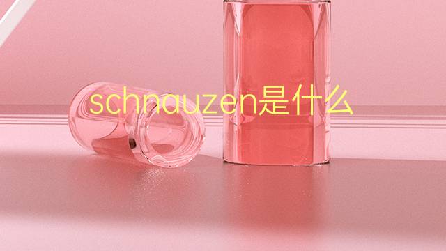 schnauzen是什么意思 schnauzen的翻译、读音、例句、中文解释