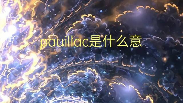 pauillac是什么意思 pauillac的翻译、读音、例句、中文解释