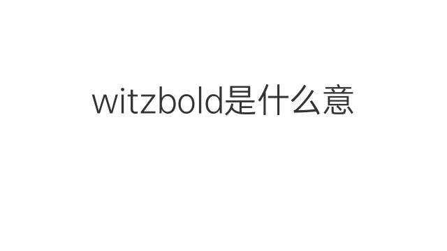 witzbold是什么意思 witzbold的翻译、读音、例句、中文解释