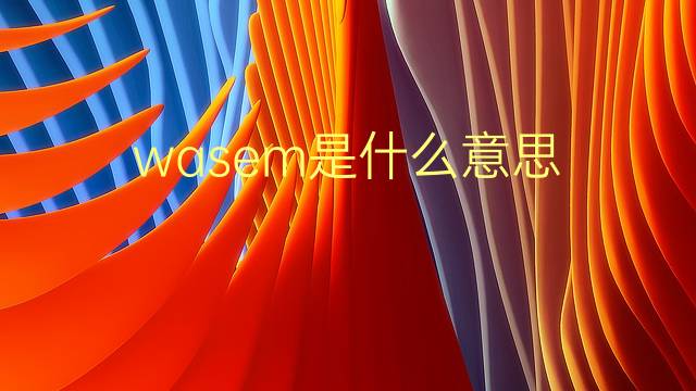 wasem是什么意思 wasem的翻译、读音、例句、中文解释