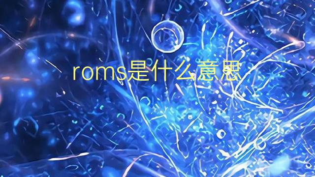 roms是什么意思 roms的翻译、读音、例句、中文解释