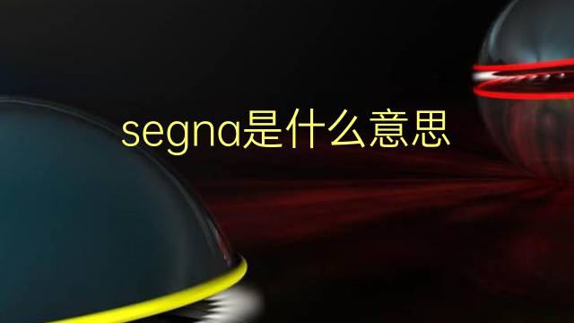 segna是什么意思 segna的翻译、读音、例句、中文解释