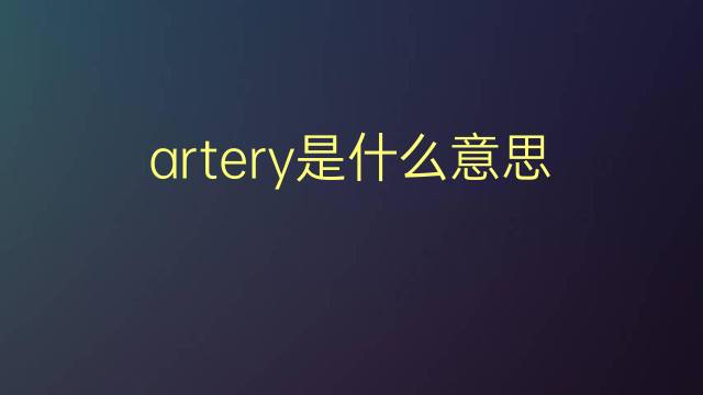 artery是什么意思 artery的翻译、读音、例句、中文解释