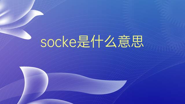 socke是什么意思 socke的翻译、读音、例句、中文解释