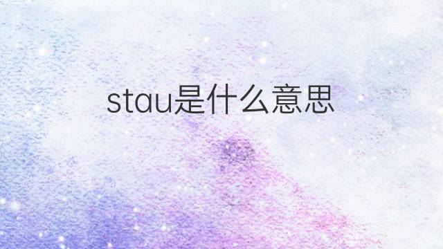 stau是什么意思 stau的翻译、读音、例句、中文解释