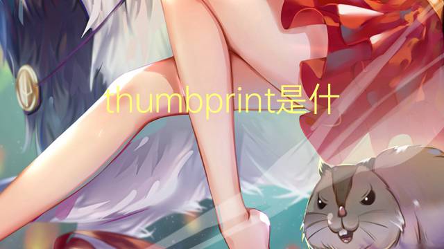 thumbprint是什么意思 thumbprint的翻译、读音、例句、中文解释