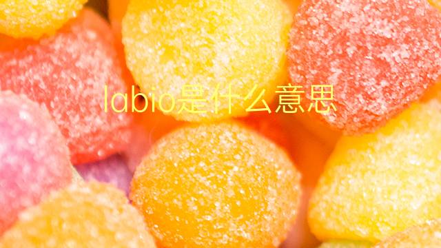 labio是什么意思 labio的翻译、读音、例句、中文解释