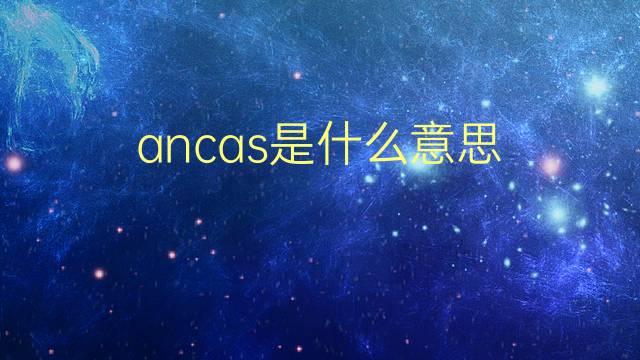 ancas是什么意思 ancas的翻译、读音、例句、中文解释