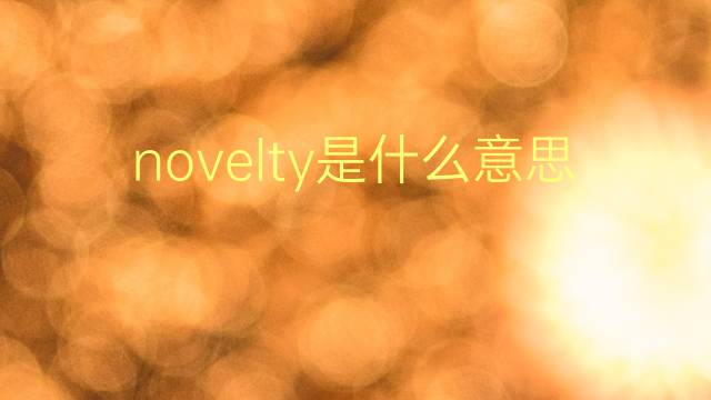 novelty是什么意思 novelty的翻译、读音、例句、中文解释