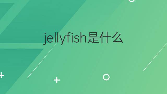 jellyfish是什么意思 jellyfish的翻译、读音、例句、中文解释