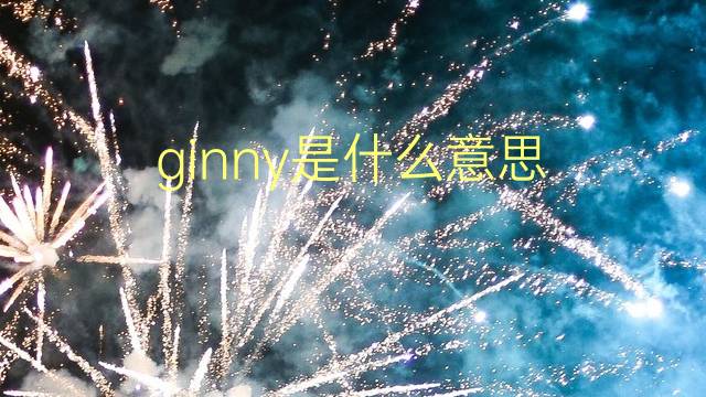 ginny是什么意思 ginny的翻译、读音、例句、中文解释