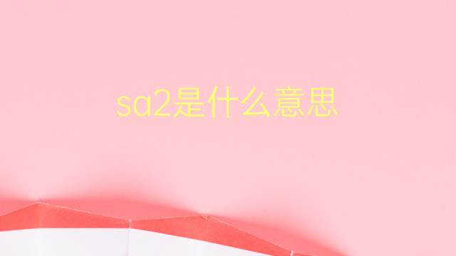 sa2是什么意思 sa2的翻译、读音、例句、中文解释